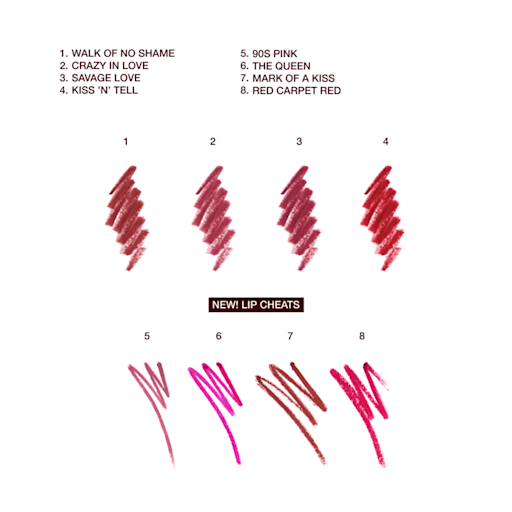 Lip Cheat SAVAGE ROSE